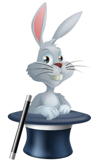 lapin removebg preview